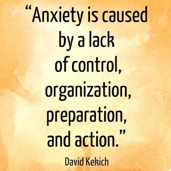 fits Louis Vuitton Agenda: Pen+ Paper Inserts+more - Picture 12 of 16